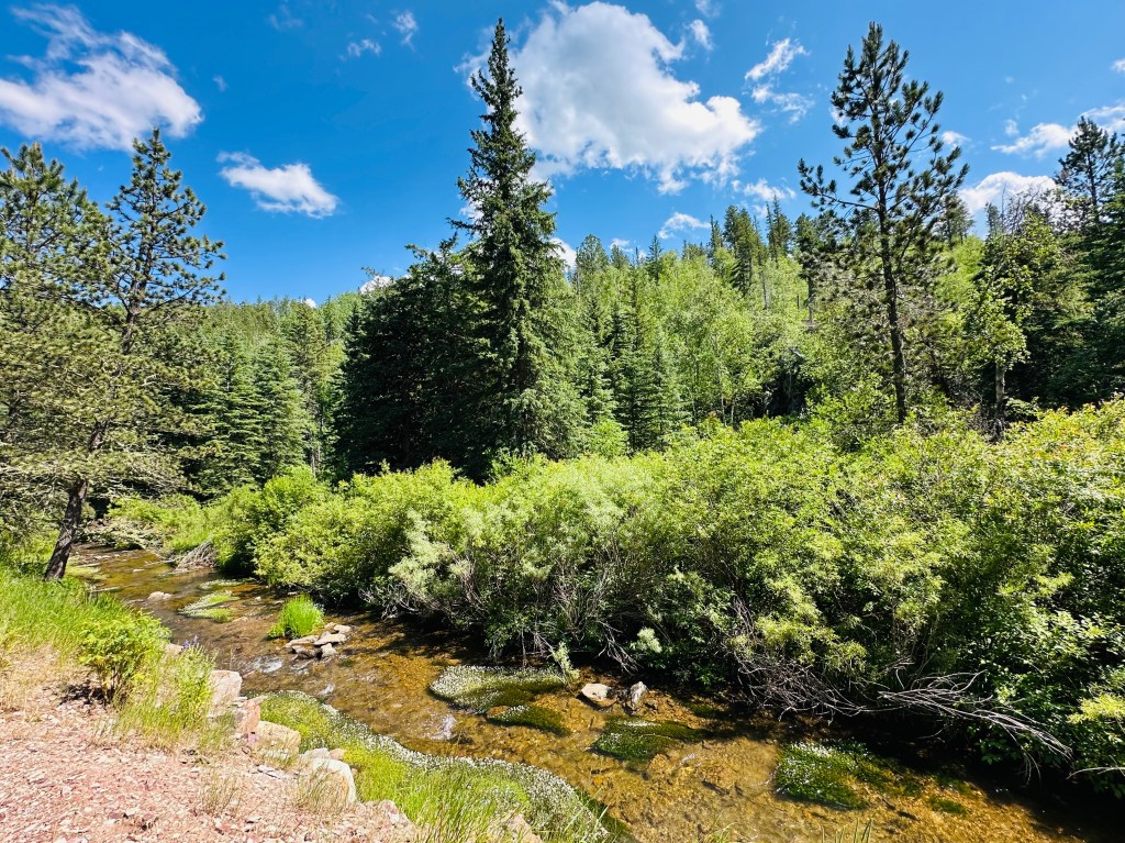 A creekside vista along the George S. Mickelson Trail outside Lead, South Dakota.