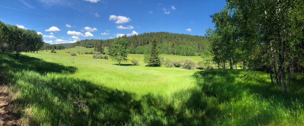 Guide: The Mickelson Trail from Dumont Trailhead to Deadwood&nbsp;Trailhead